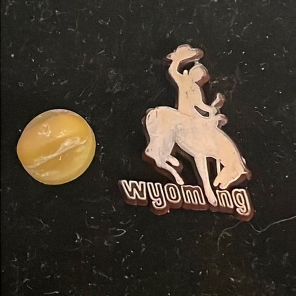 Vintage 1” x 0.75” “Wyoming ASI 65485” hat/lapel pin or tie tack - Picture 1 of 10